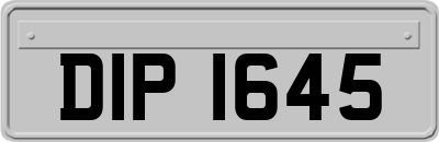 DIP1645