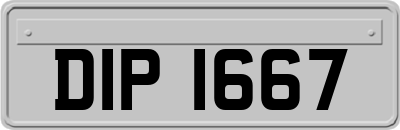DIP1667