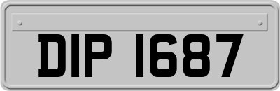 DIP1687