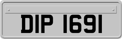 DIP1691