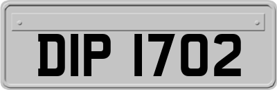 DIP1702