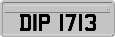 DIP1713