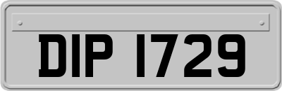 DIP1729