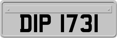 DIP1731