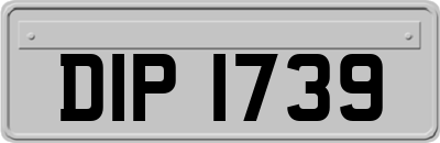 DIP1739