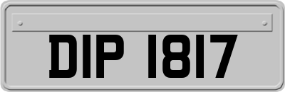 DIP1817