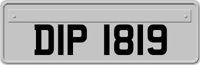 DIP1819