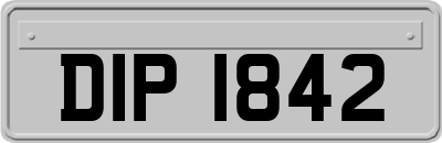 DIP1842