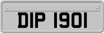 DIP1901