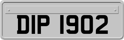 DIP1902