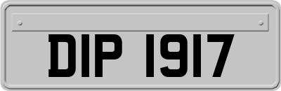 DIP1917