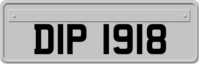 DIP1918