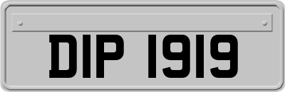 DIP1919