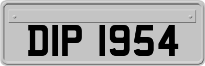 DIP1954
