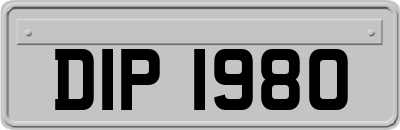 DIP1980