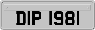 DIP1981
