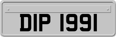DIP1991