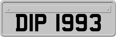 DIP1993