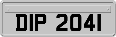 DIP2041