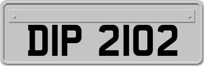 DIP2102