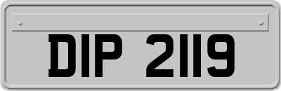 DIP2119