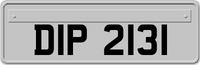 DIP2131