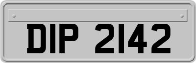 DIP2142