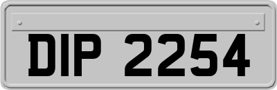 DIP2254