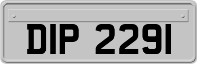 DIP2291