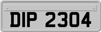 DIP2304