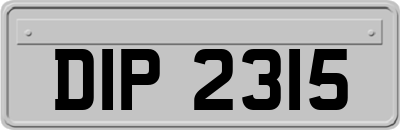 DIP2315