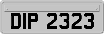 DIP2323