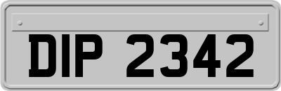 DIP2342