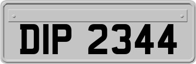 DIP2344