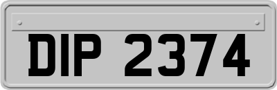 DIP2374
