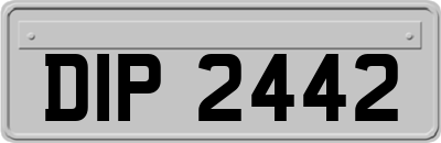 DIP2442