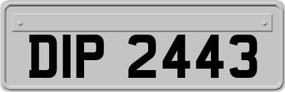 DIP2443