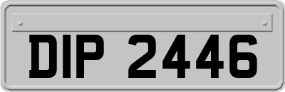 DIP2446