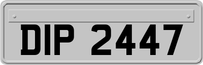 DIP2447