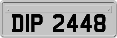 DIP2448