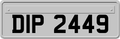 DIP2449