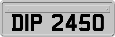 DIP2450