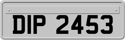 DIP2453