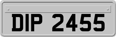 DIP2455