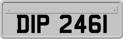 DIP2461