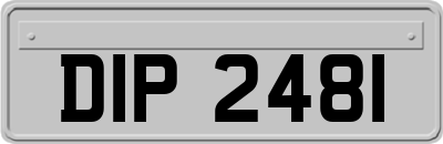 DIP2481