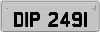 DIP2491