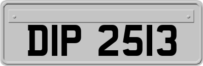 DIP2513