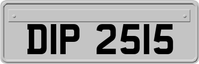 DIP2515