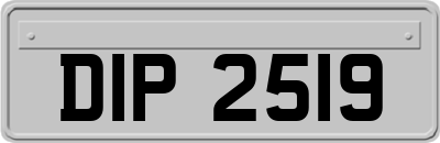 DIP2519